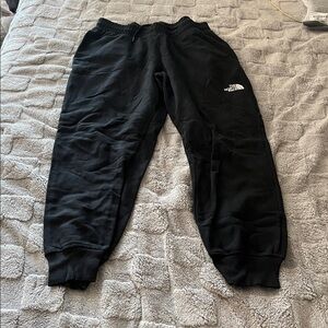 The North Face Men’s L Sweatpants